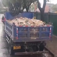 绍兴垃圾清运
